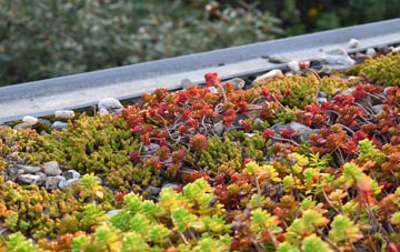 the cost of St Teath green roof installation